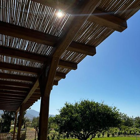 Peristerionas Estate Lägenhet Karystos  Exteriör bild