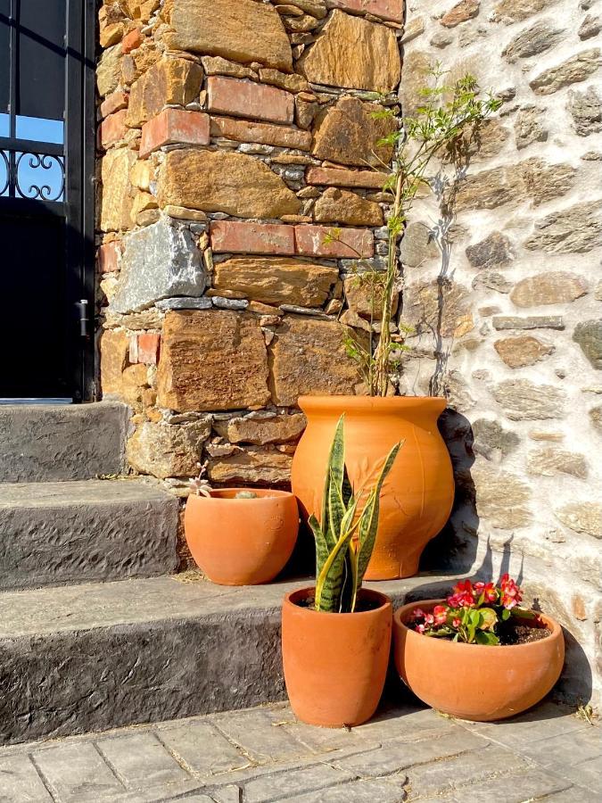 Peristerionas Estate Lägenhet Karystos  Exteriör bild